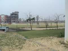 MET Faculty of Pharmacy Moradabad College Activities photo 4